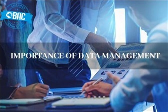 Data Manager là ai? Vai trò, trách nhiệm và tầm quan trọng