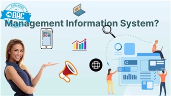 Học Hệ thống thông tin quản lý ra làm gì?