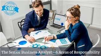 6 phạm trù trách nhiệm của Senior Business Analyst