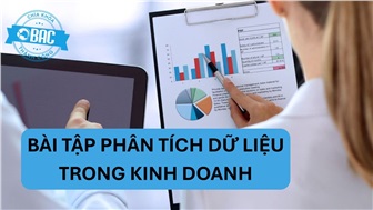 Bài tập phân tích dữ liệu trong kinh doanh cho người mới bắt đầu có đáp án