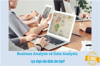Business Analysis và Data Analysis: lựa chọn nào dành cho bạn? (Phần I)