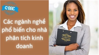 Các ngành nghề phổ biến cho nhà phân tích kinh doanh