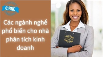 Các ngành nghề phổ biến cho nhà phân tích kinh doanh