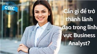 Cần gì để trở thành lãnh đạo trong lĩnh vực Business Analyst?