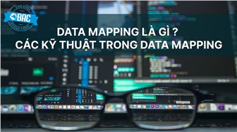 Data Mapping là gì? Các kỹ thuật trong Data Mapping