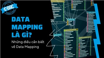 Data Mapping là gì? Những điều cần biết về Data Mapping