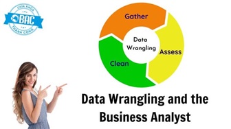 Data Wrangling và Business Analyst