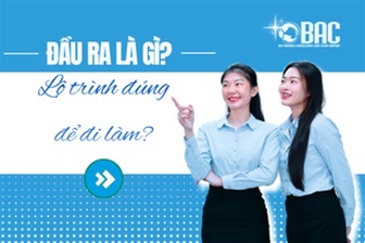 Đầu ra học IT Business Analysis (IT BA) tại BAC là gì? Lộ trình đúng để đi làm