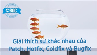 Giải thích sự khác nhau của Patch, Hotfix, Coldfix và Bugfix