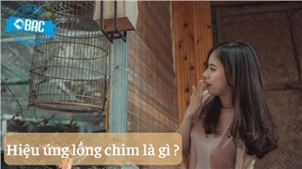 Hiệu ứng lồng chim - Bí quyết của người thành công