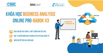 Khóa học Busines Analysis ONLINE cho người mới bắt đầu