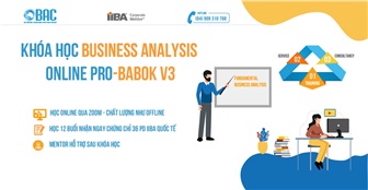 Khóa học Busines Analysis ONLINE cho người mới bắt đầu