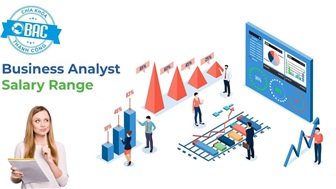 Mức lương của Business Analyst là bao nhiêu? Khảo sát thu nhập 2024