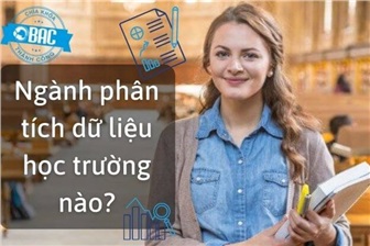 Ngành phân tích dữ liệu học trường nào?