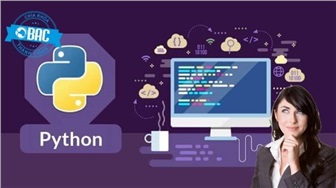 Những lý do bạn nên học Python và cách học hiệu quả