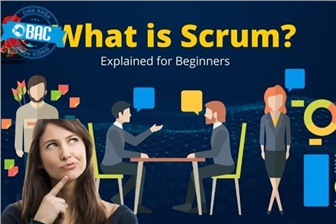 Scrum cho người mới bắt đầu: Cách quản lý dự án Agile
