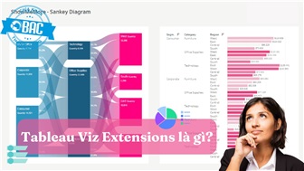 Tableau Viz Extensions là gì?