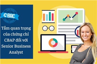 Tầm quan trọng của chứng chỉ CBAP đối với Senior Business Analyst