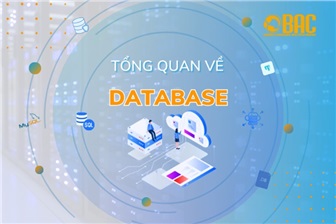 Tổng quan kiến thức cơ bản về Databases (Cơ sở dữ liệu)