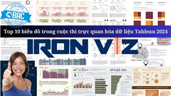 Top 10 biểu đồ trong cuộc thi trực quan hóa dữ liệu Tableau 2024