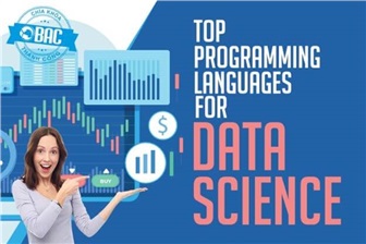 Top 10 ngôn ngữ lập trình cho nhà khoa học dữ liệu 2023