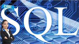 Top 5 khóa học SQL và nền tảng học tập cho năm 2022