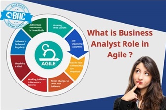 Vai trò của Business Analyst trong Agile là gì?