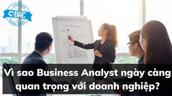 Vì sao Business Analyst ngày càng quan trọng với doanh nghiệp?