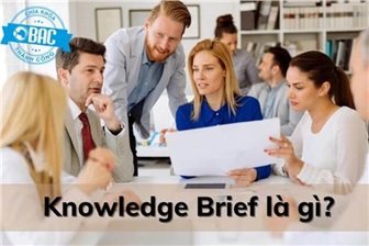 Vì sao mọi nhà phân tích kinh doanh phải có Knowledge Brief?